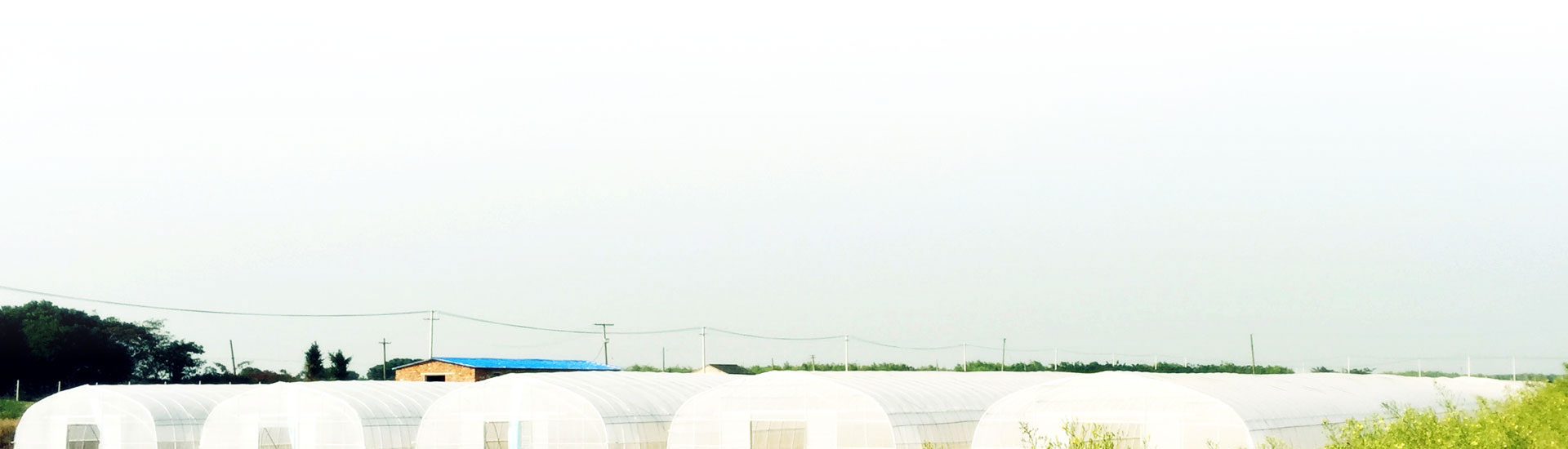 �˘I�h�����V���t���������t����ǰ����Ҫ����Щ�z�ޣ�